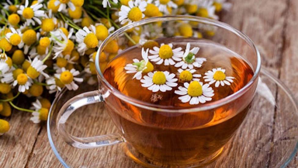 لیست پرمصرف ترین داروهای گیاهی