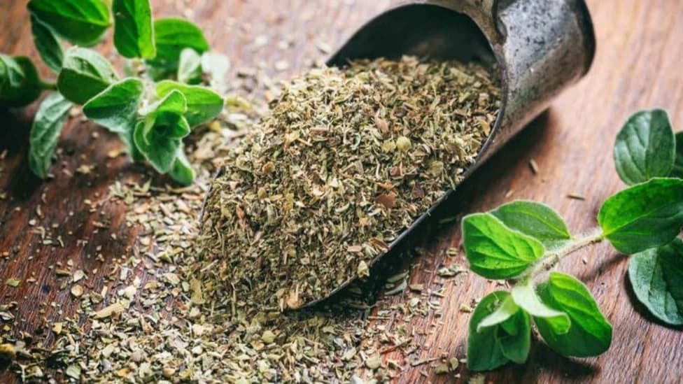 تاثیر گیاهان دارویی بر سلامت انسان
